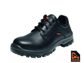 HALBSCHUH ROY S2 SRC