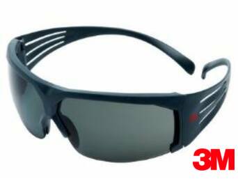 BRILLE SECURE FIT 600 PC POLAR GRAU AK