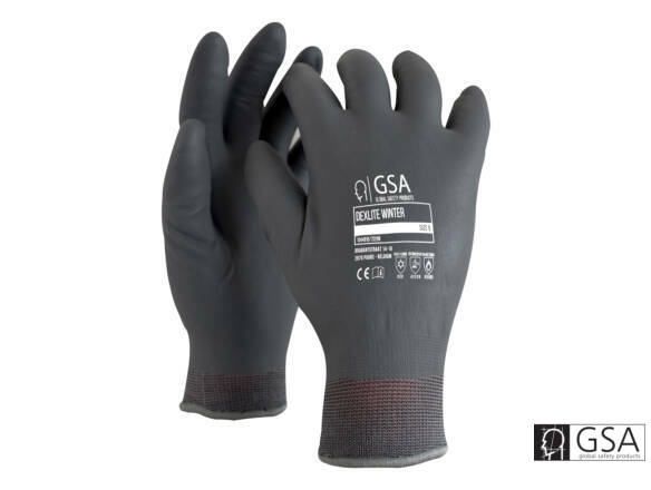 GLOVE DEXLITE WINTER